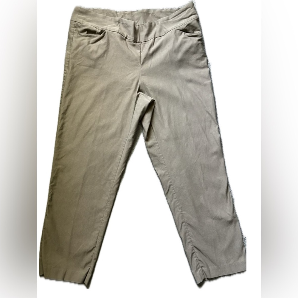 women’s tan slacks in size 20
